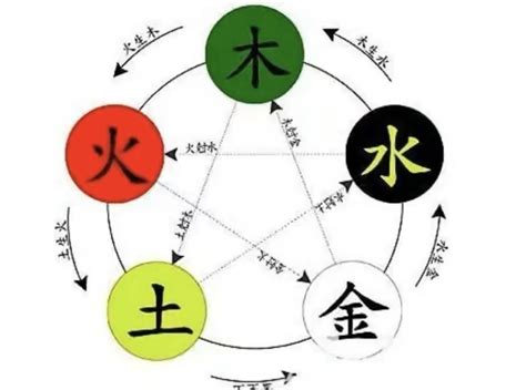 硨磲 五行|寈的五行属什么,寈字的五行属性,寈的寓意